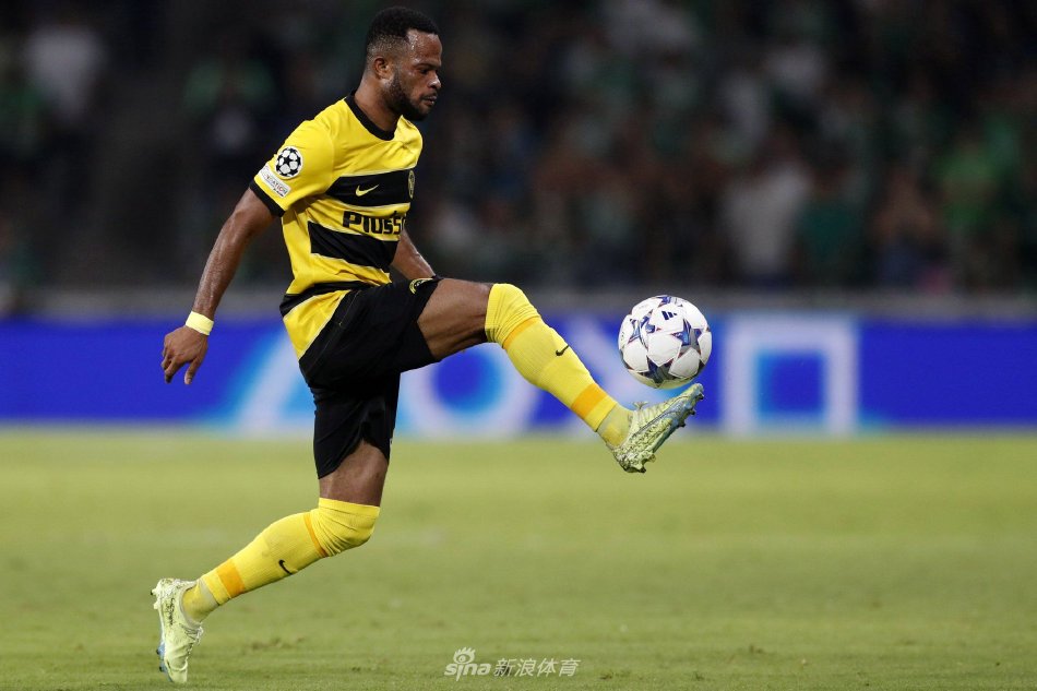 任何一个细 任何一个细